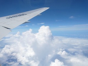 2012-04-30_114404.jpg