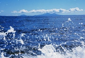 2012-06-09_102500.jpg